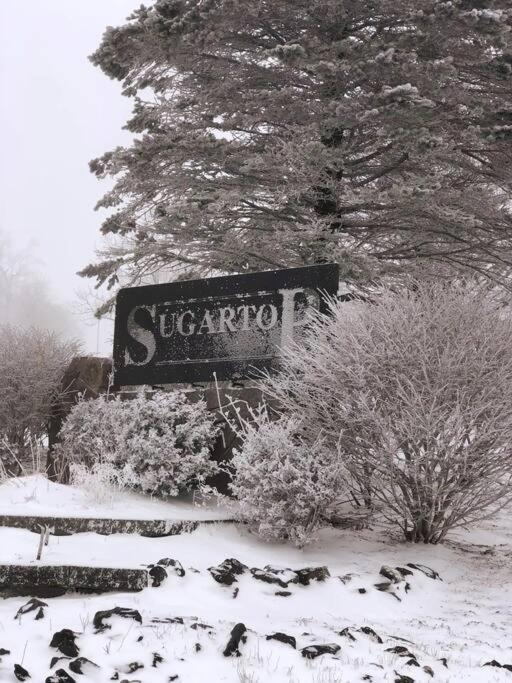 Altitude Adjustment Atop Sugar Mountain At Sugar Top Exterior foto
